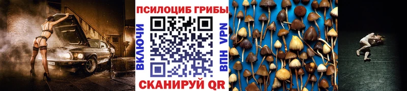 Купить где  Плавск  Псилоцибиновые грибы Psilocybine cubensis 